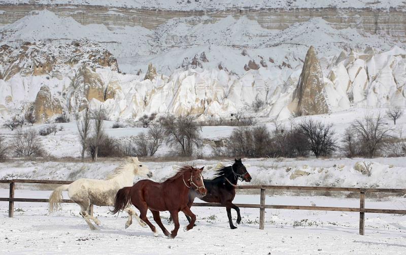 Three horses running through a snowy valley
